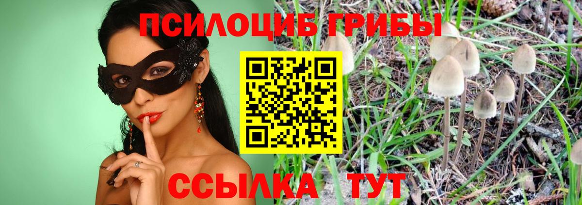 Армавир  Галлюциногенные грибы мухоморы  сколько стоит  Вход с VPN 