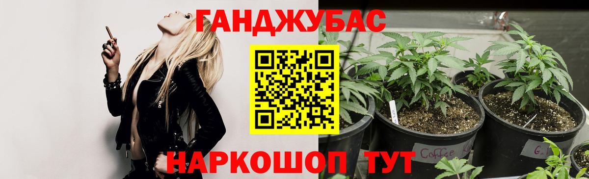 Каннабис OG Kush Армавир
